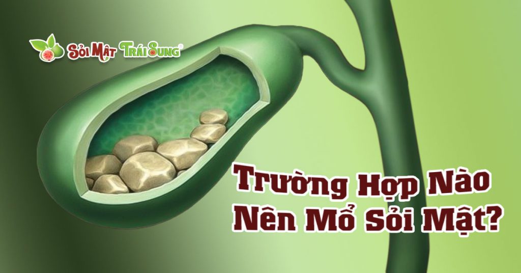 Sỏi Mật Trái Sung