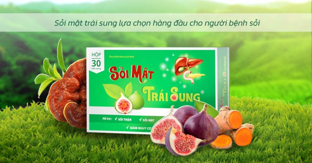 Sỏi Mật Trái Sung