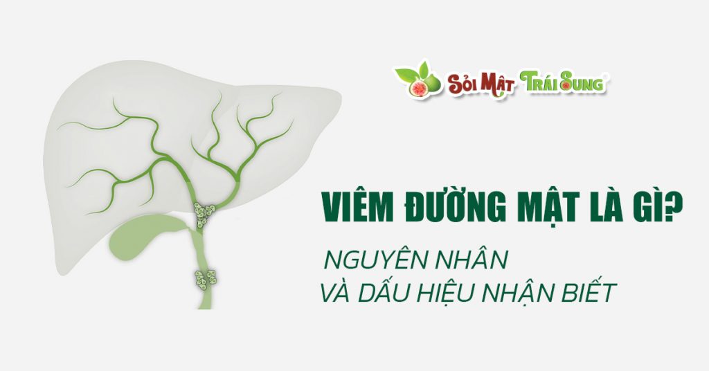 Sỏi Mật Trái Sung