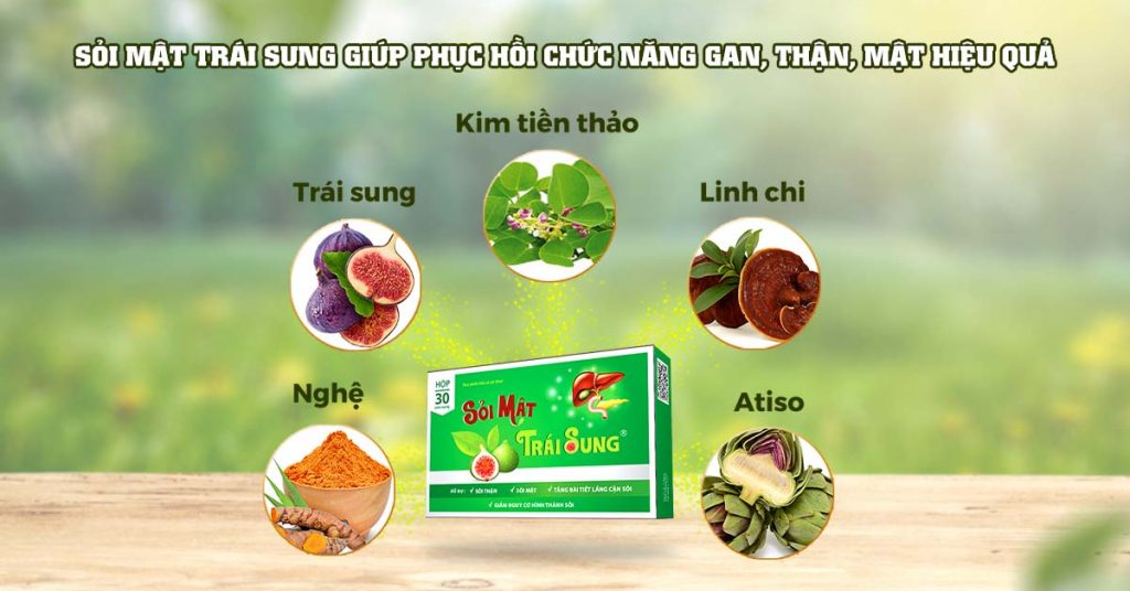 Sỏi Mật Trái Sung