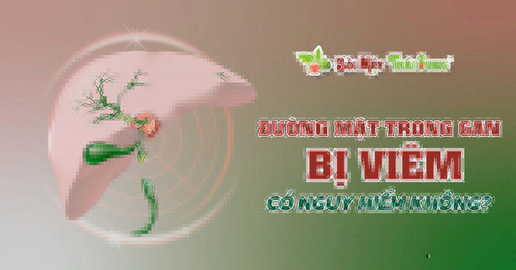 Sỏi Mật Trái Sung