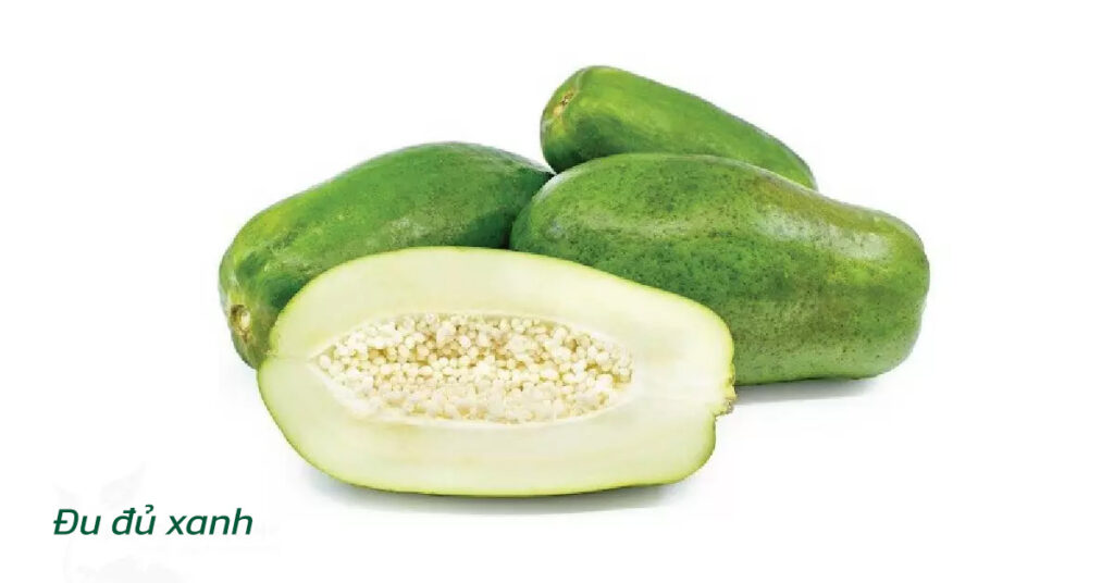Sỏi Mật Trái Sung