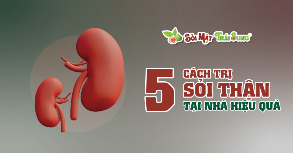 Sỏi Mật Trái Sung