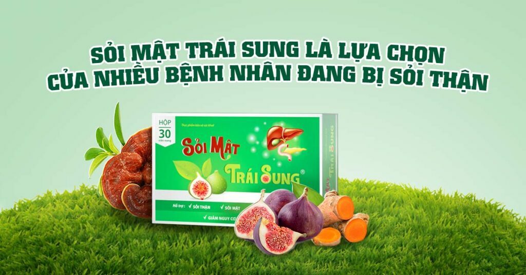 Sỏi Mật Trái Sung