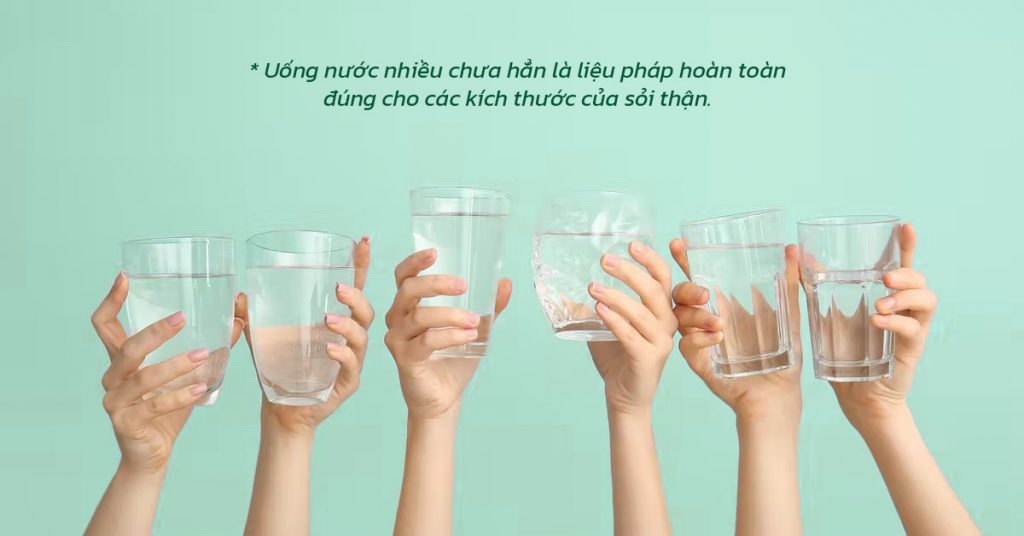 Sỏi Mật Trái Sung