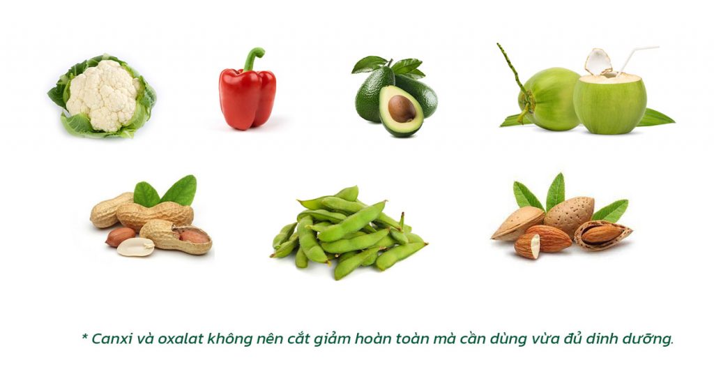 Sỏi Mật Trái Sung
