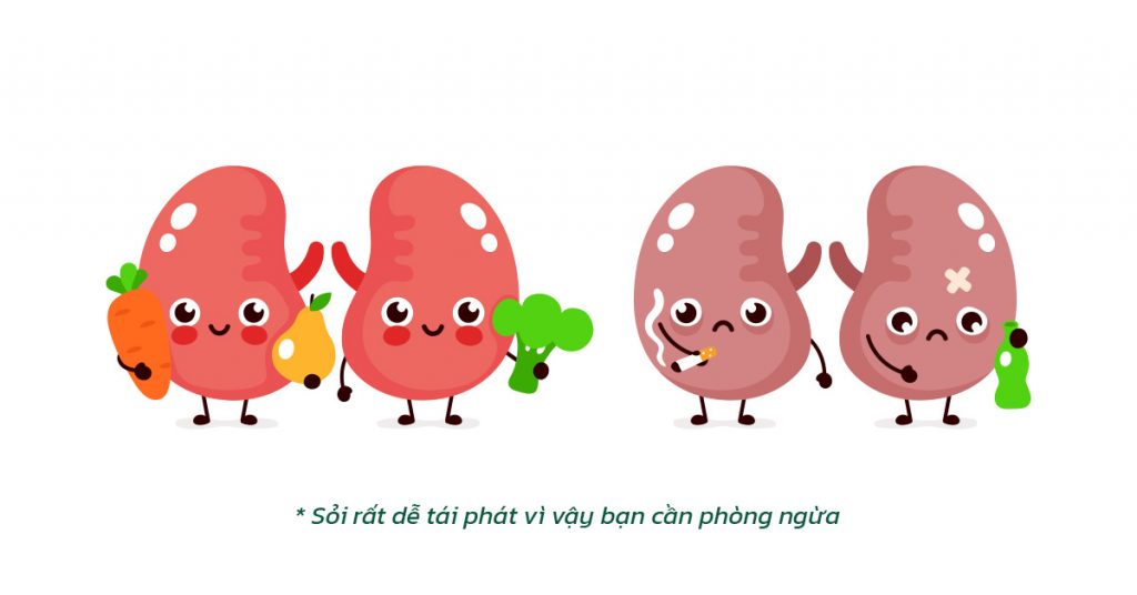 Sỏi Mật Trái Sung