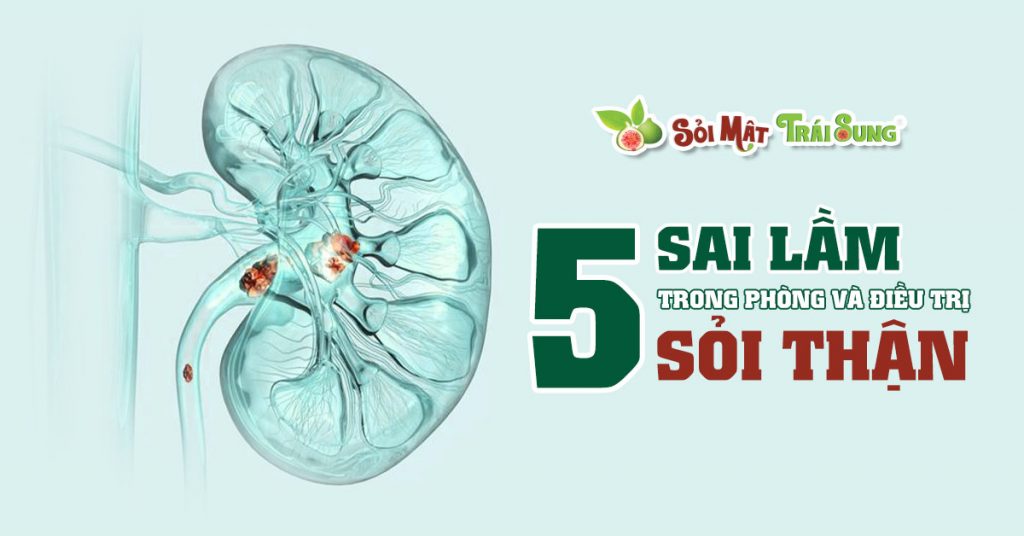 Sỏi Mật Trái Sung