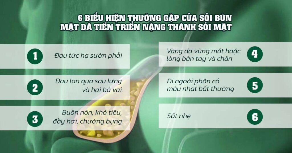 Sỏi Mật Trái Sung