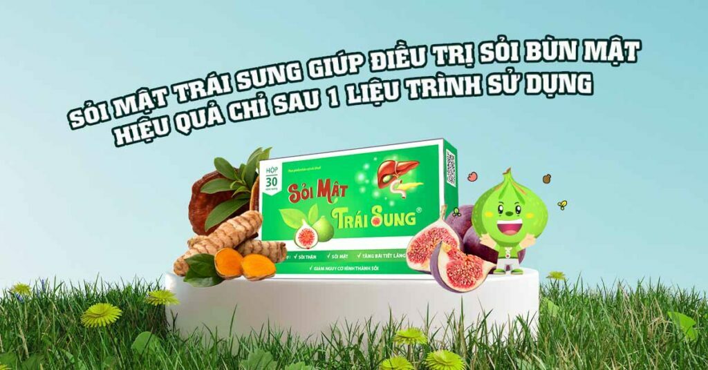 Sỏi Mật Trái Sung