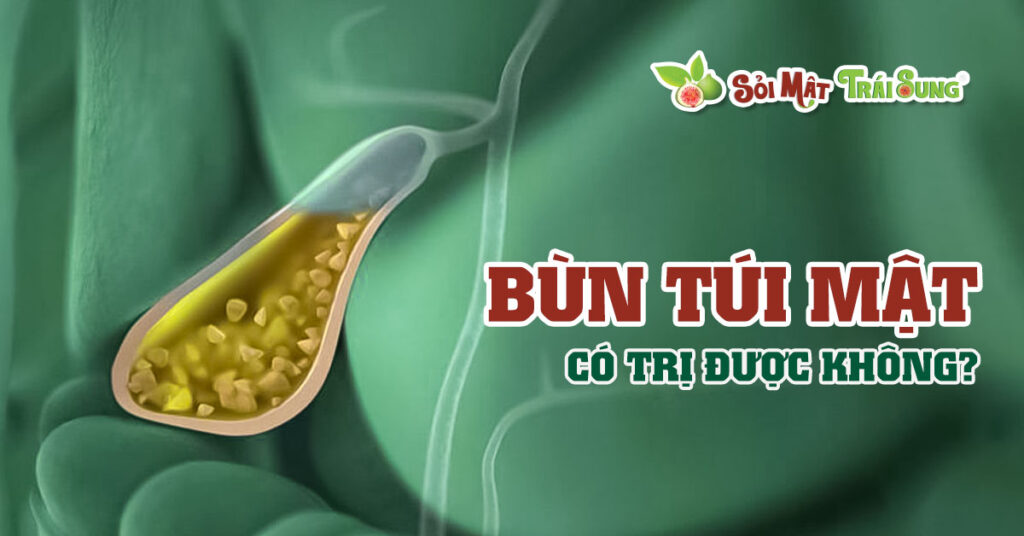 Sỏi Mật Trái Sung