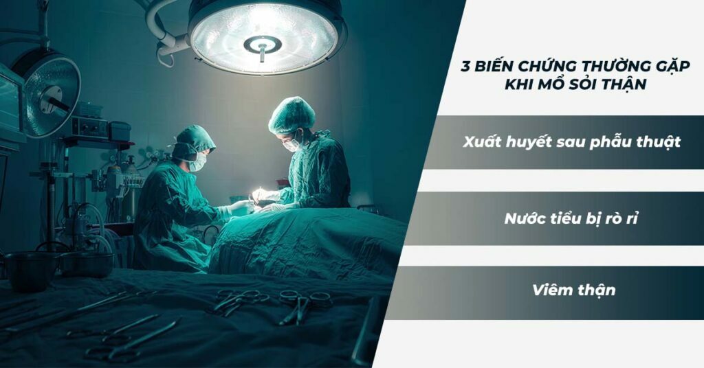Sỏi Mật Trái Sung