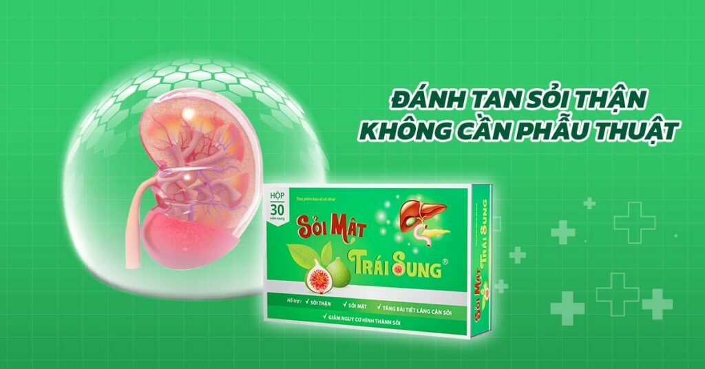 Sỏi Mật Trái Sung