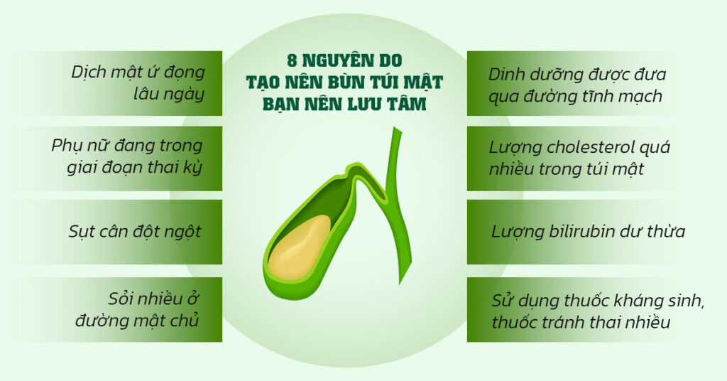 Sỏi Mật Trái Sung