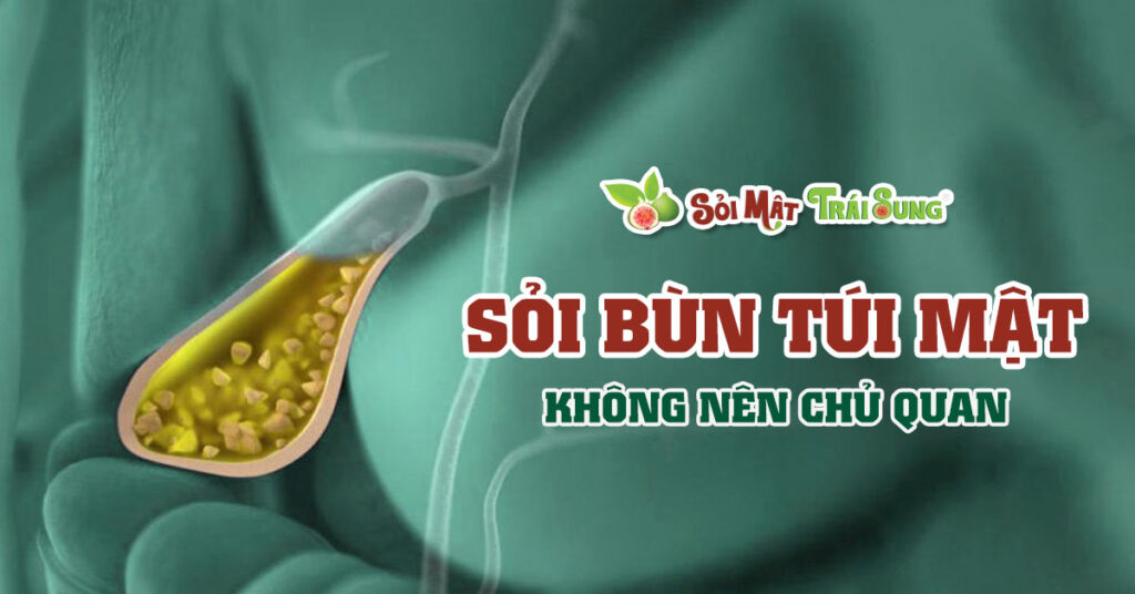 Sỏi Mật Trái Sung