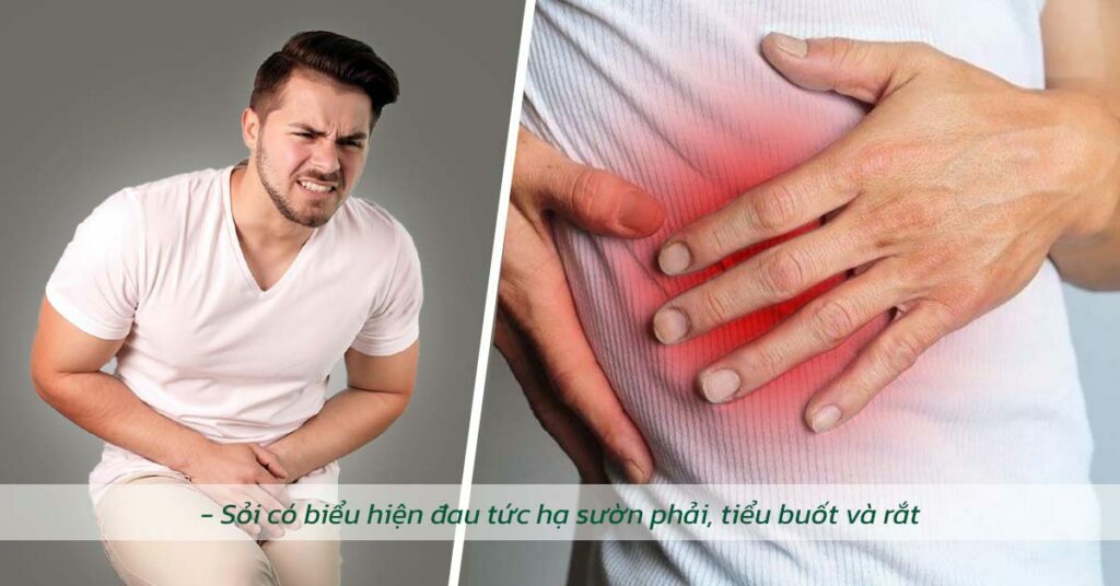 Sỏi Mật Trái Sung