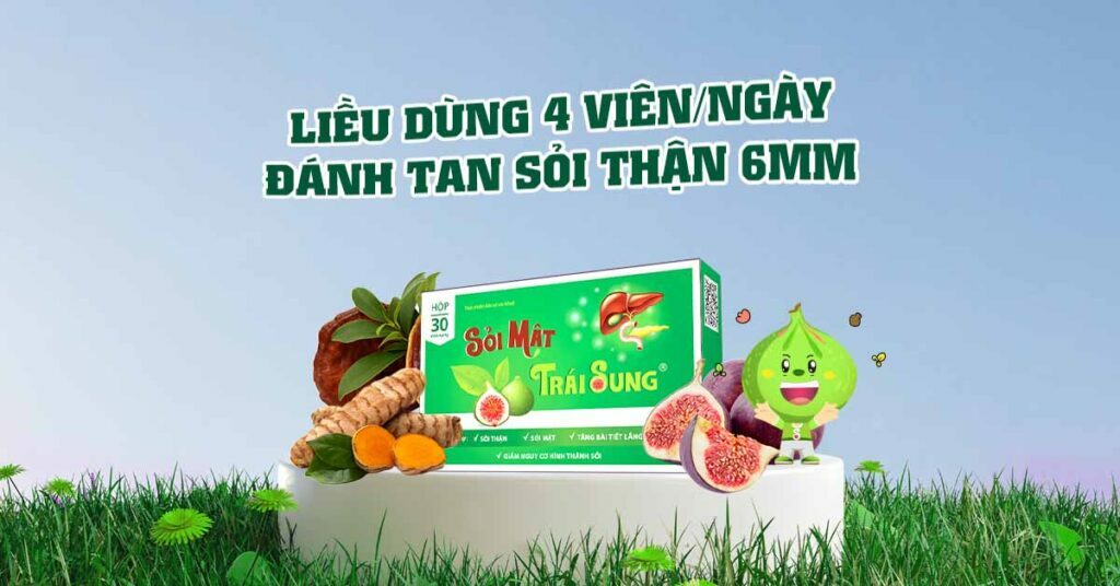 Sỏi Mật Trái Sung