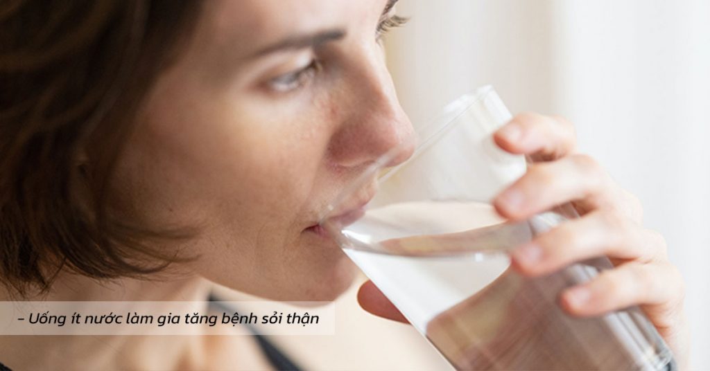 Sỏi Mật Trái Sung