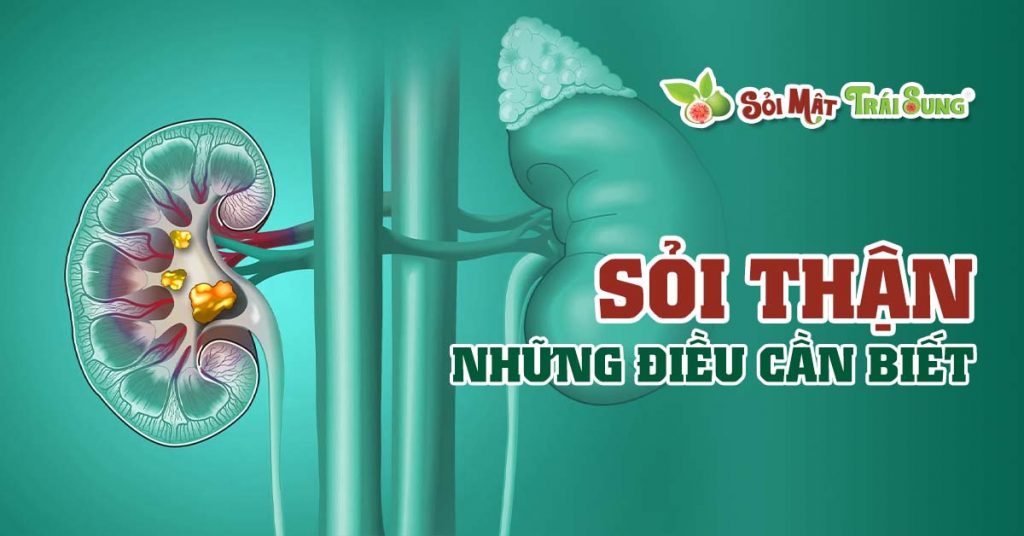 Sỏi Mật Trái Sung