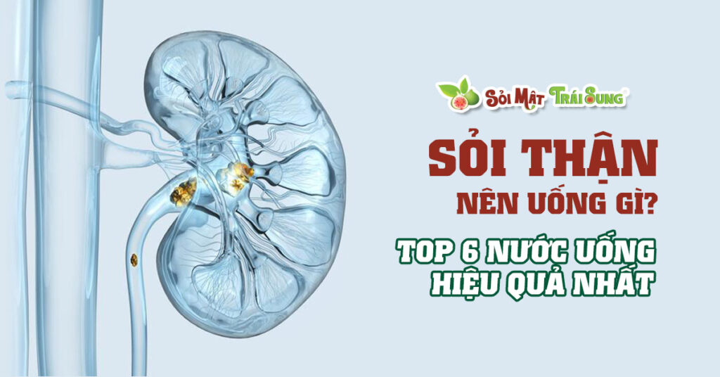 Sỏi Mật Trái Sung
