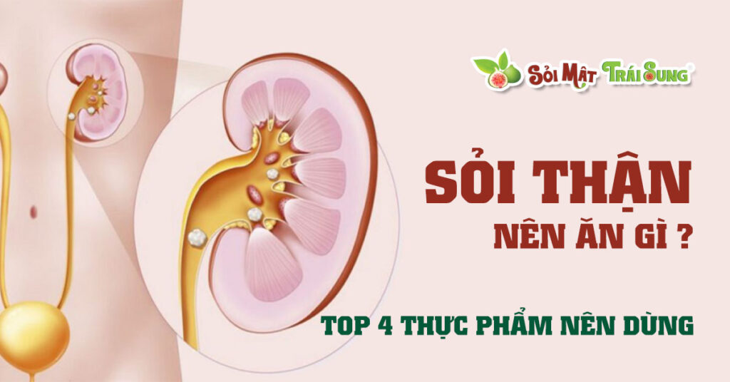 Sỏi Mật Trái Sung