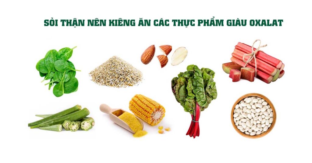 Sỏi Mật Trái Sung