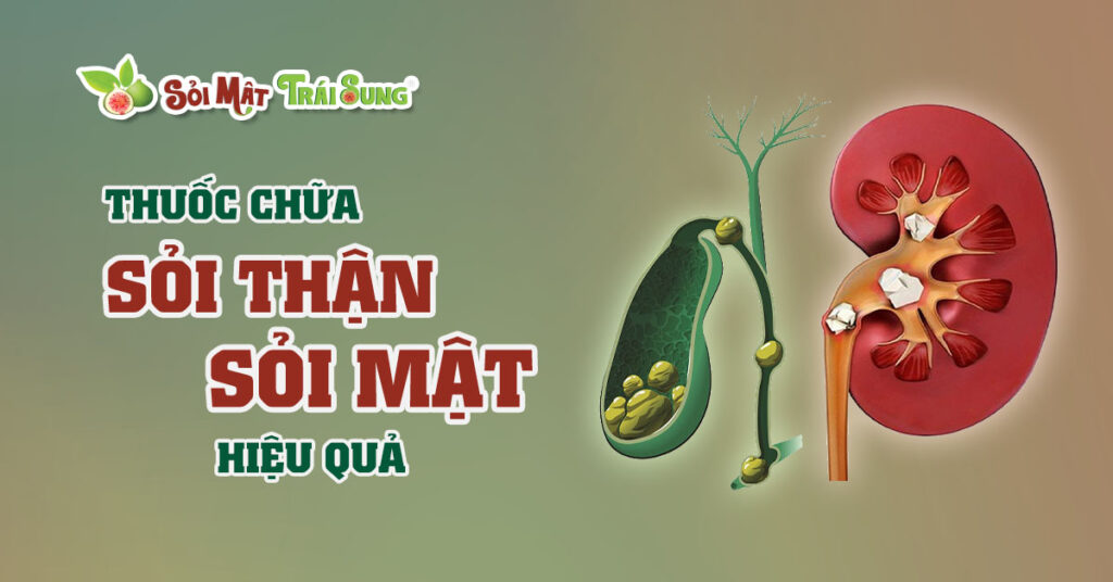 Sỏi Mật Trái Sung