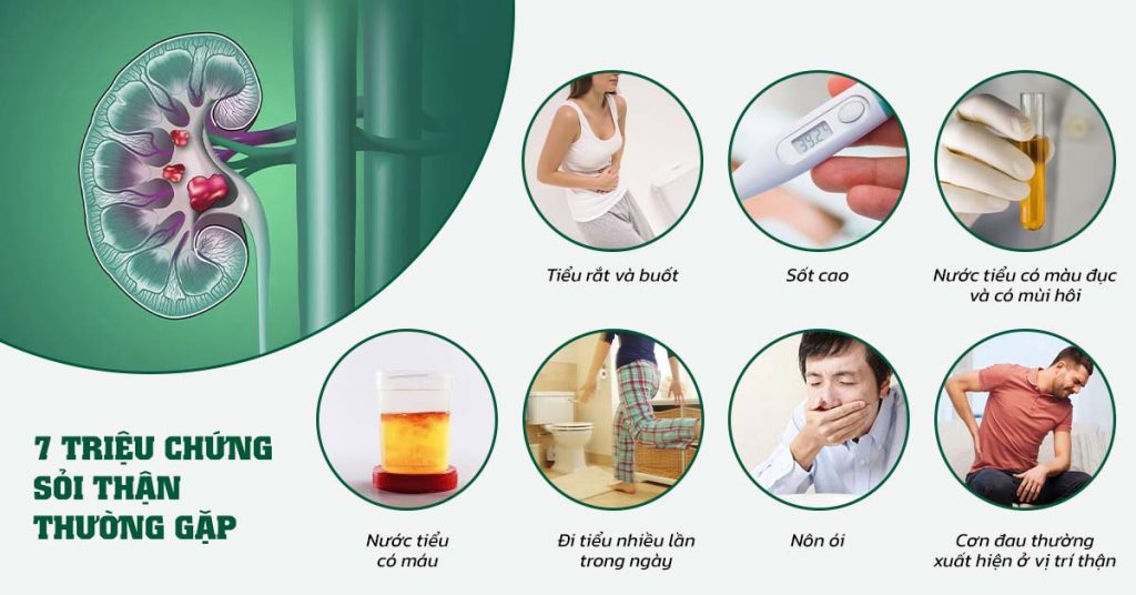 Sỏi Mật Trái Sung