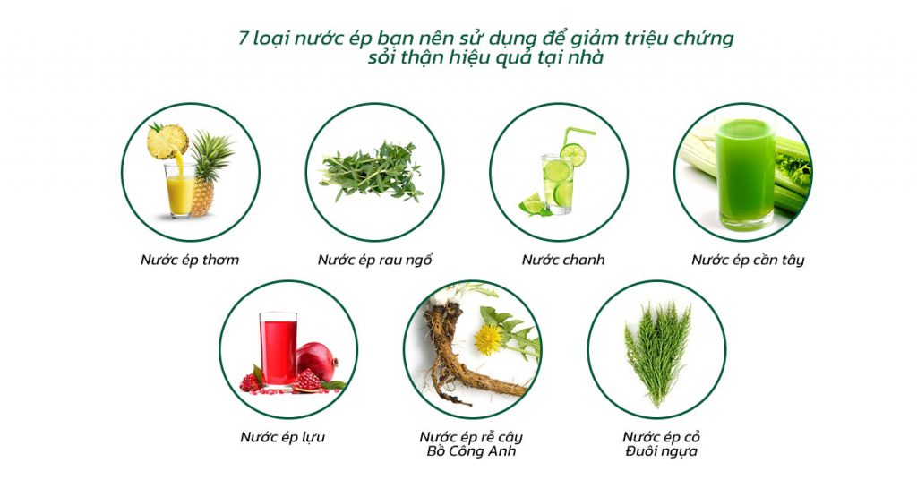 Sỏi Mật Trái Sung