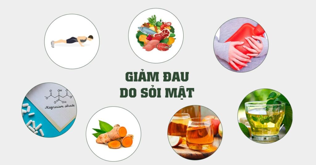 Sỏi Mật Trái Sung