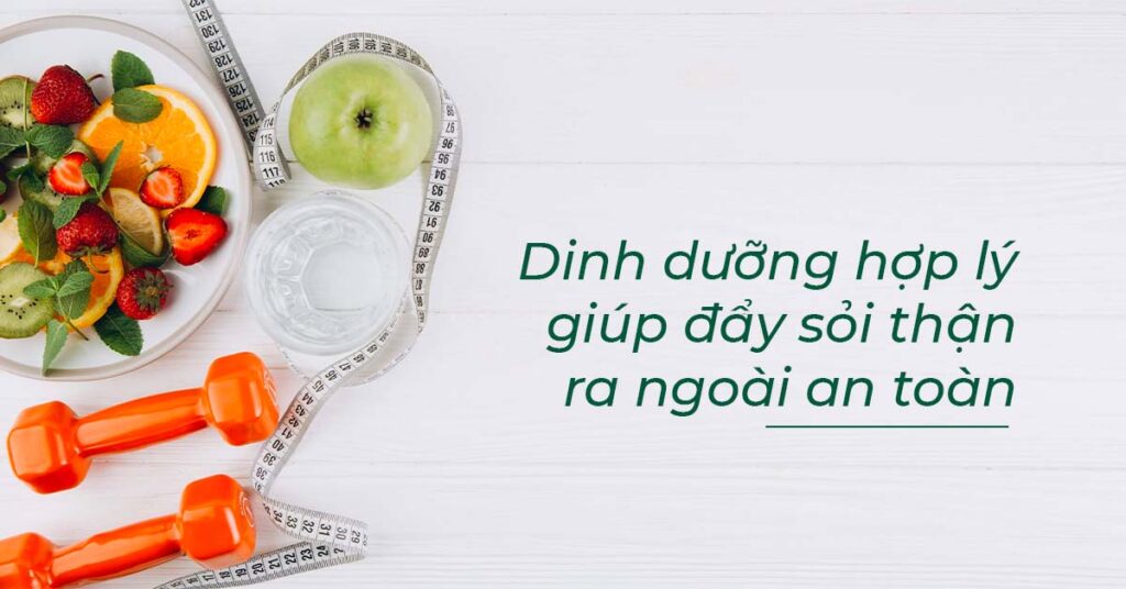 Sỏi Mật Trái Sung