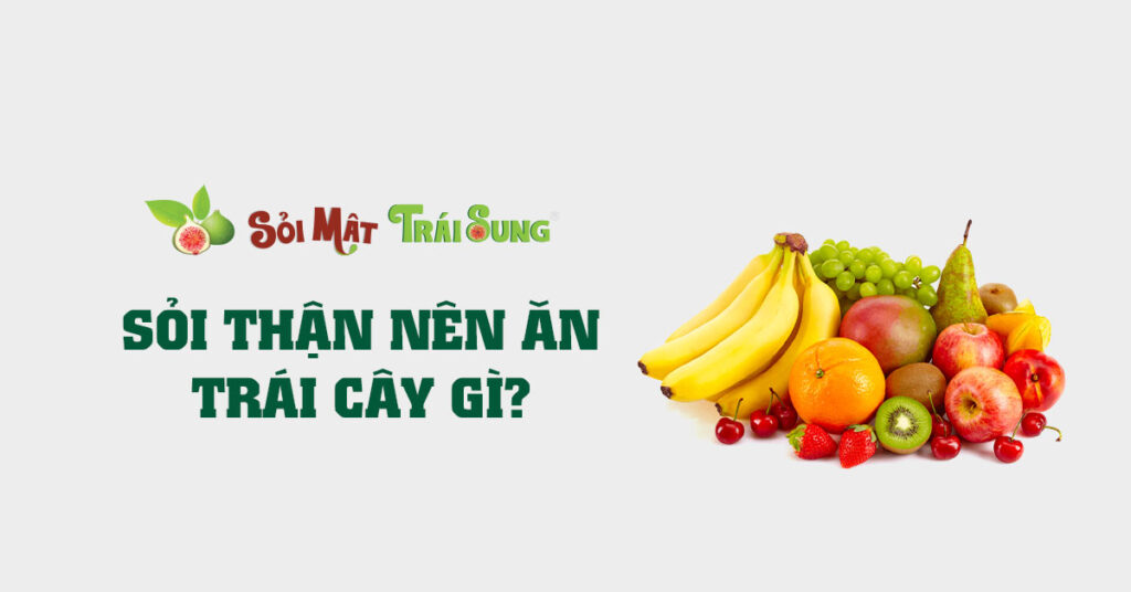 Sỏi Mật Trái Sung