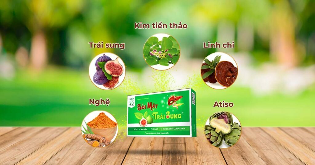 Sỏi Mật Trái Sung