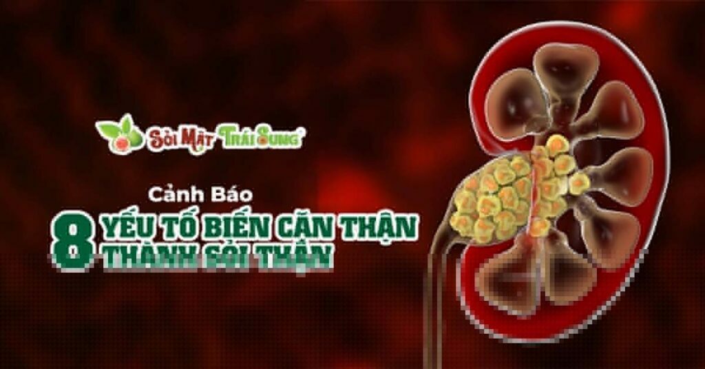 Sỏi Mật Trái Sung