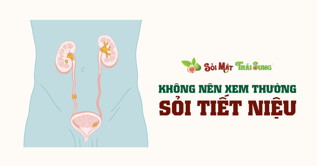 Sỏi Mật Trái Sung