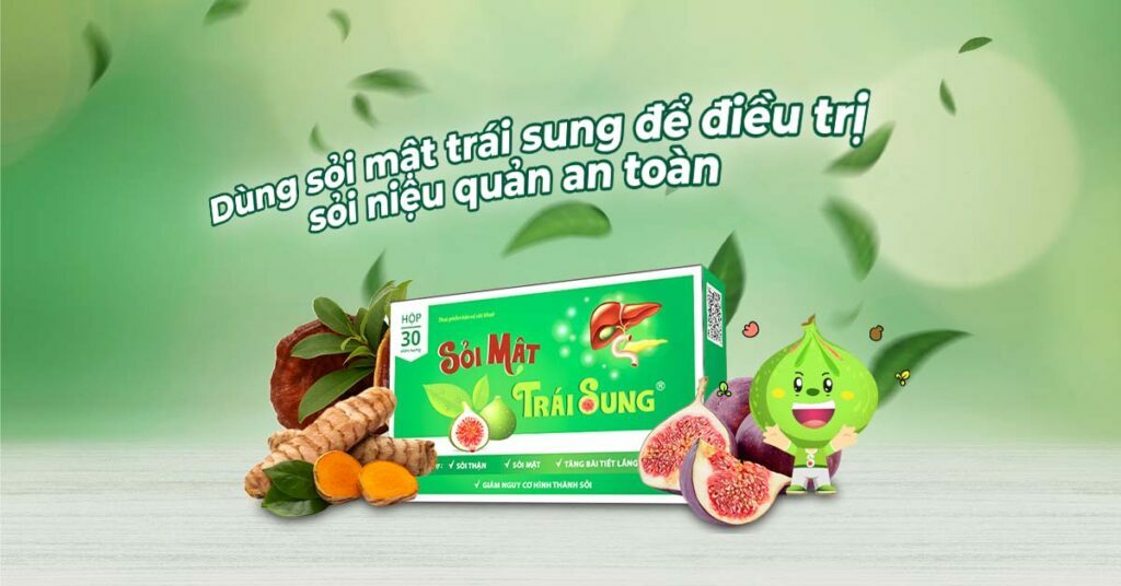 Sỏi Mật Trái Sung