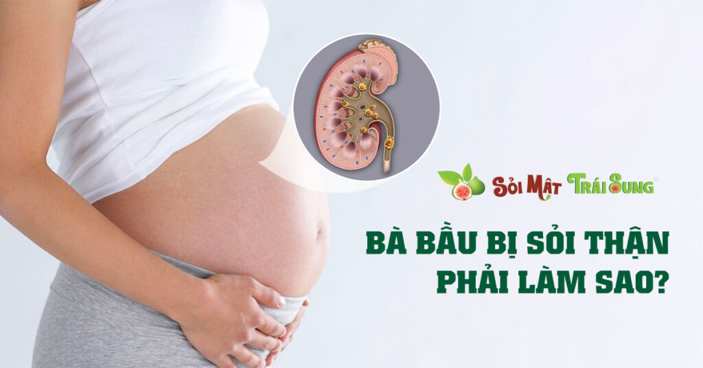 Sỏi Mật Trái Sung
