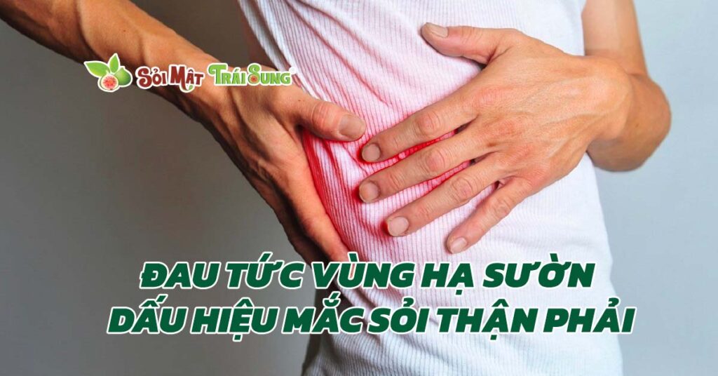 Sỏi Mật Trái Sung