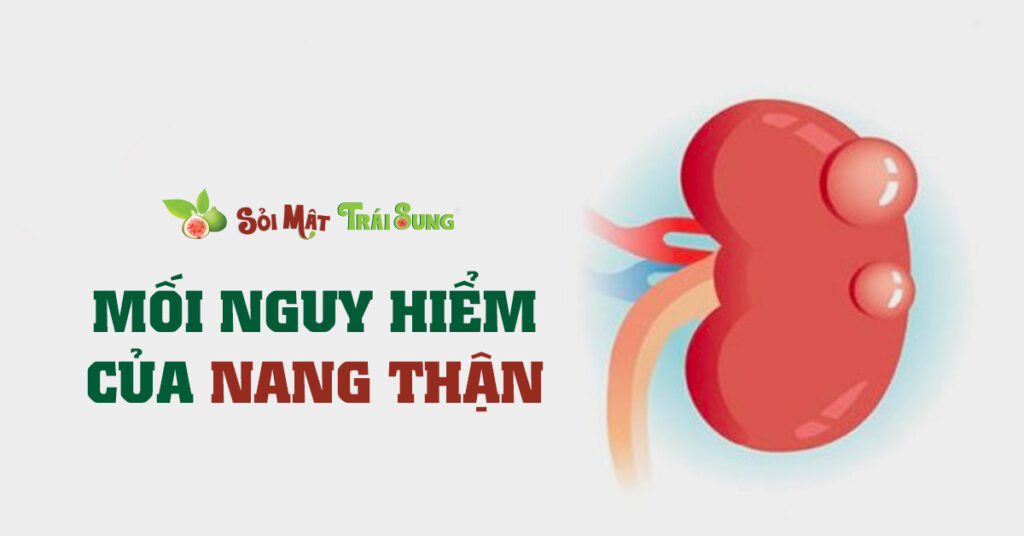 Sỏi Mật Trái Sung