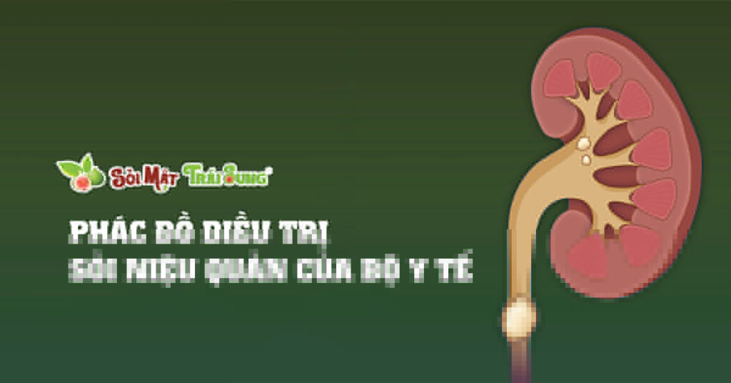Sỏi Mật Trái Sung
