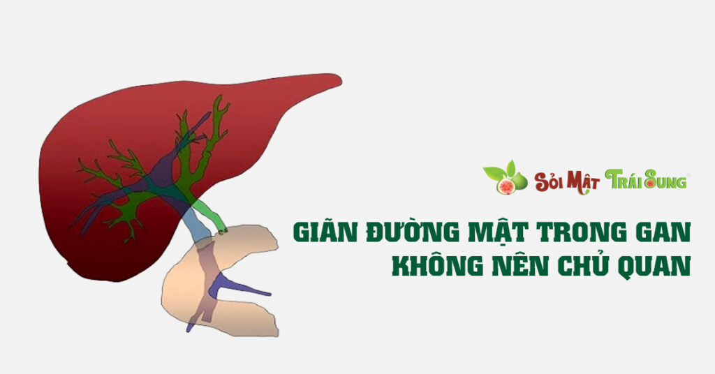 Sỏi Mật Trái Sung