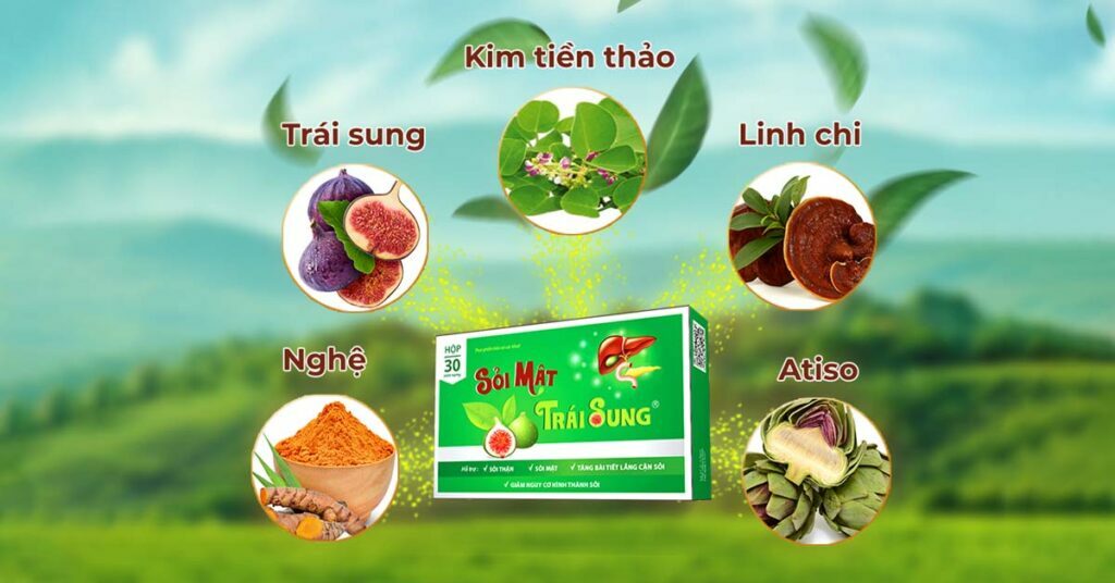 Sỏi Mật Trái Sung