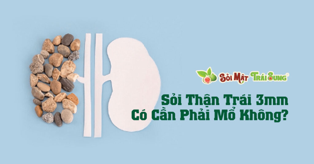 Sỏi Mật Trái Sung