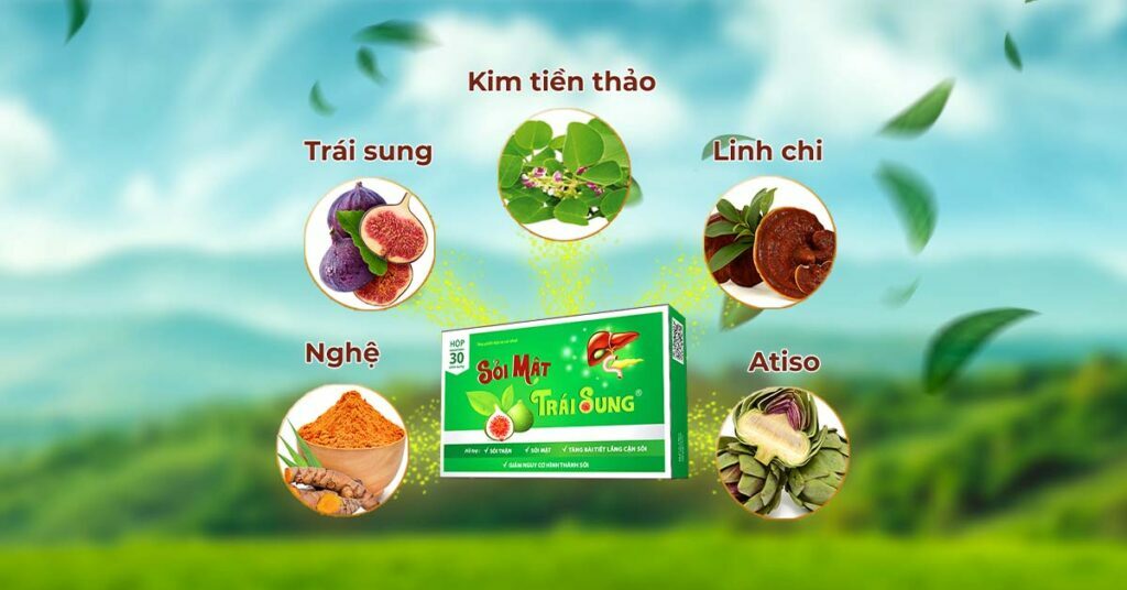 Sỏi Mật Trái Sung