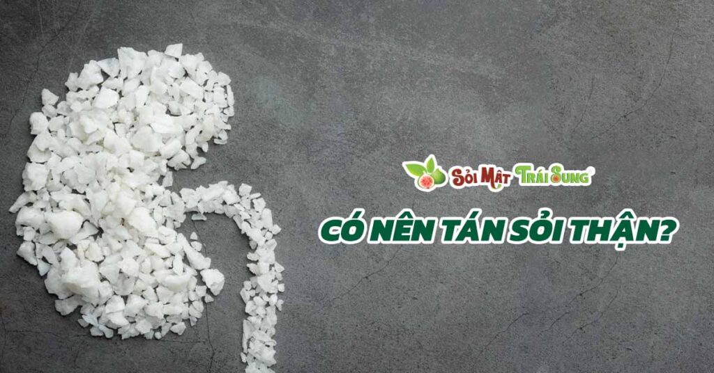 Sỏi Mật Trái Sung