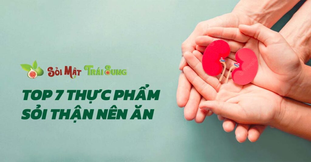 Sỏi Mật Trái Sung