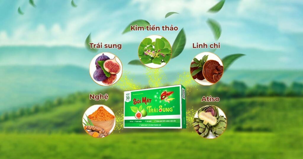 Sỏi Mật Trái Sung