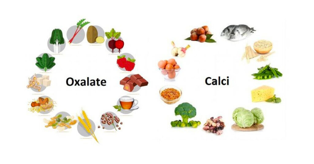 Sỏi Mật Trái Sung