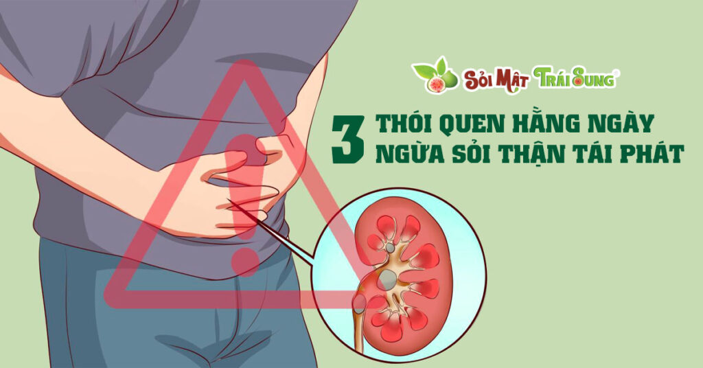 Sỏi Mật Trái Sung