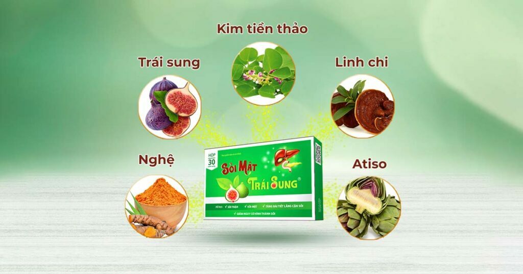 Sỏi Mật Trái Sung